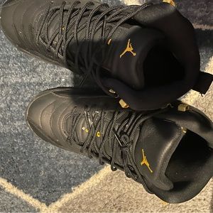 Jordan retro 12s